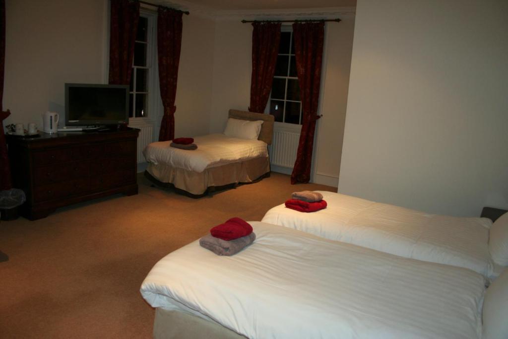 The Trewythen Hotel Llanidloes Exterior photo